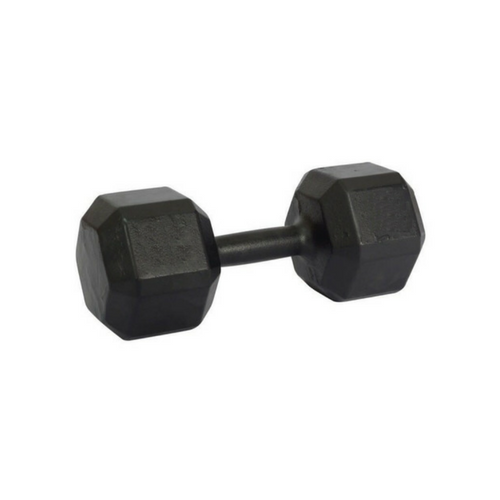 Dumbbell Sextavado Pintado Go Fitness